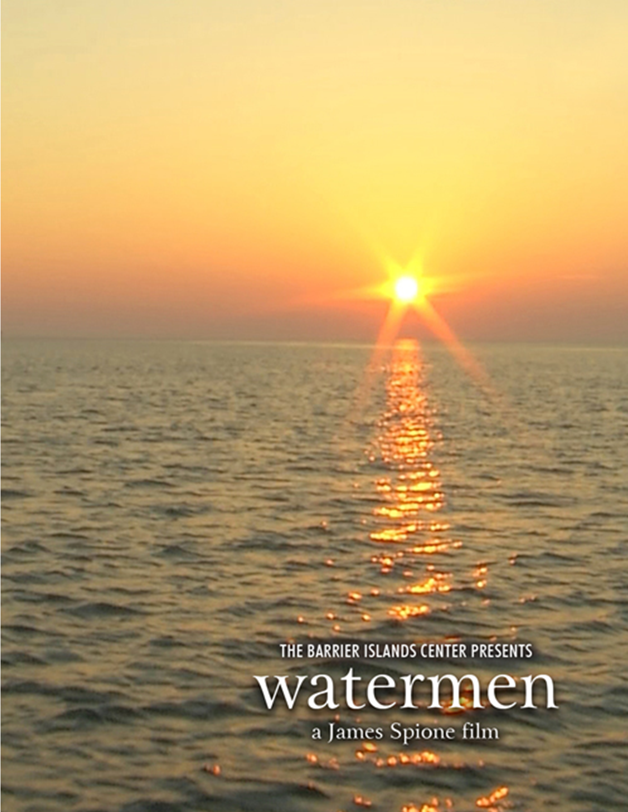 BIC Film: Spirit of the Bird — Barrier Islands Center